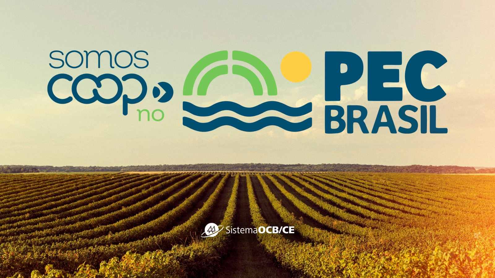 Cooperativismo ocupará espaço de destaque no PEC Brasil 2026 com 45 cooperativas e seminários